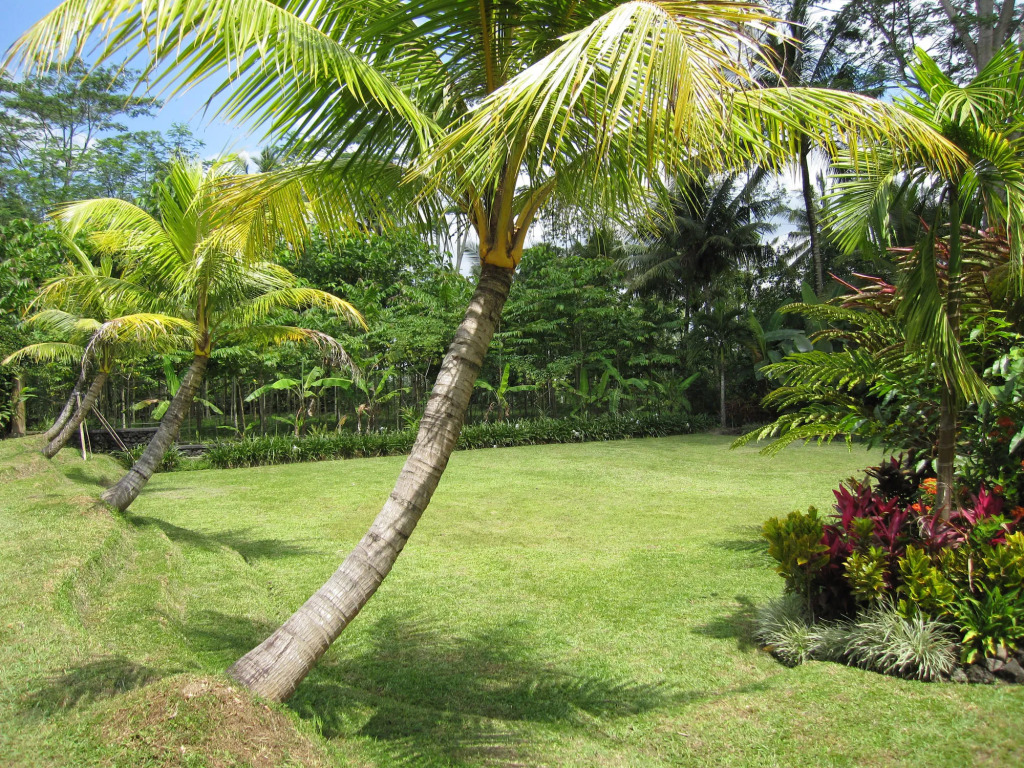 Jendela Di Bali Villa