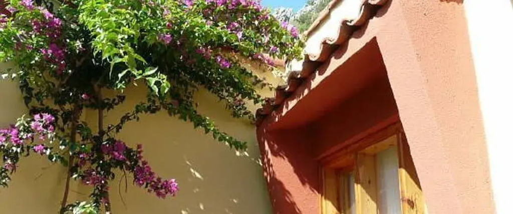 Oblomov Bungalows Apart