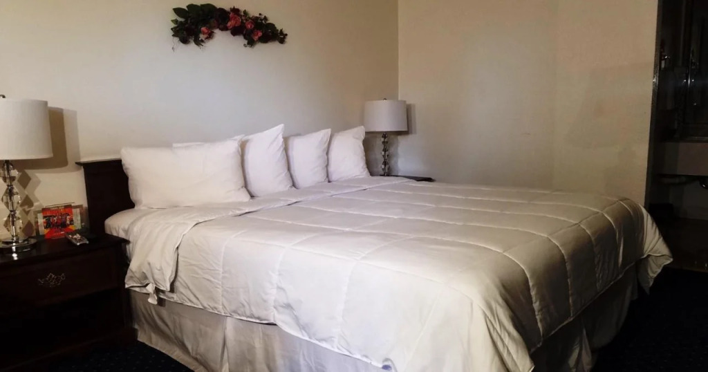 Stanford Motor Inn