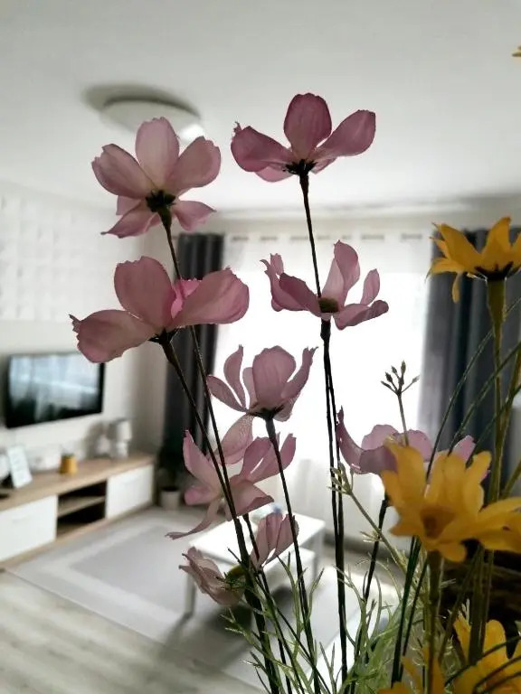 Sweet Central Apartment ,in the City center