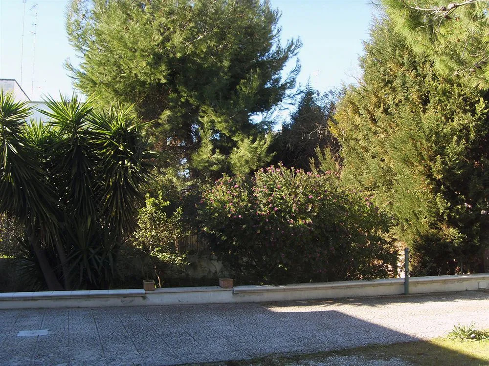 B&B La Cerasa