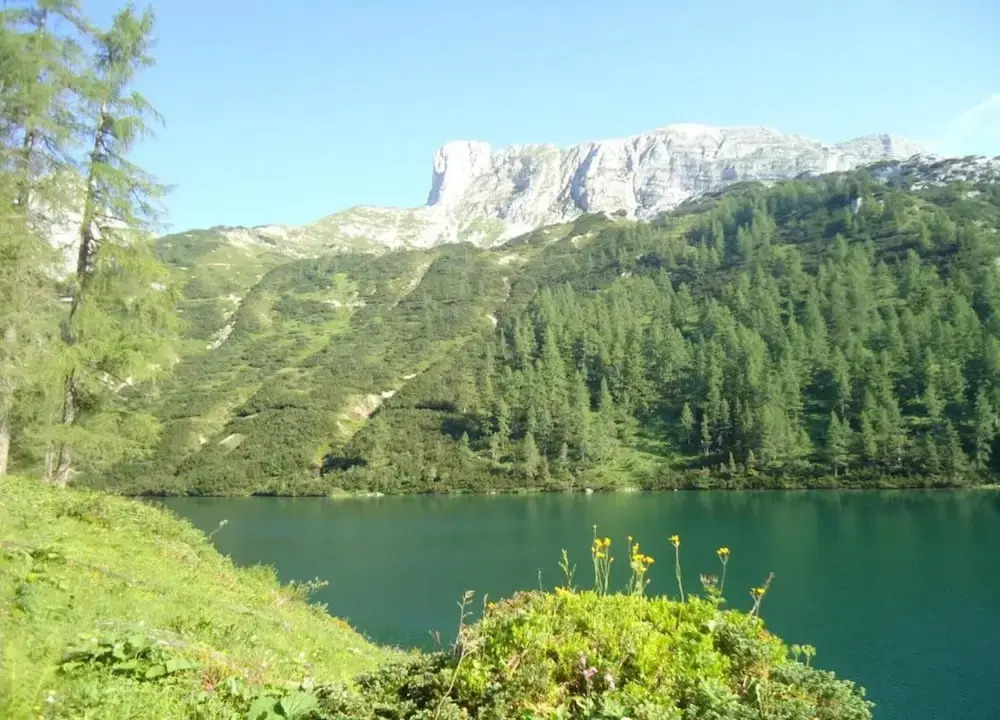 Apartment in Tauplitz Near Ski Lift