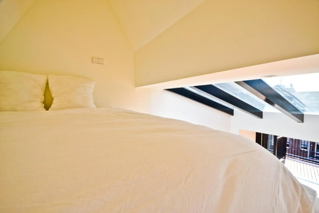 Fantastic Bright Penthouse