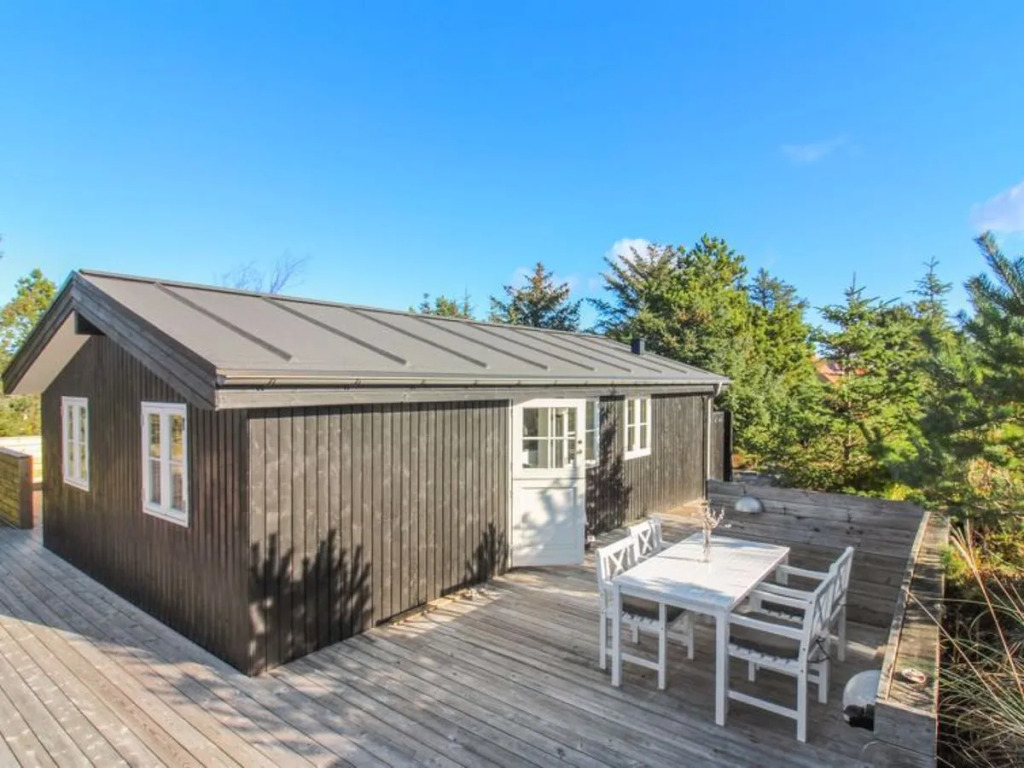 "Thorkil" - 800m from the sea in NW Jutland