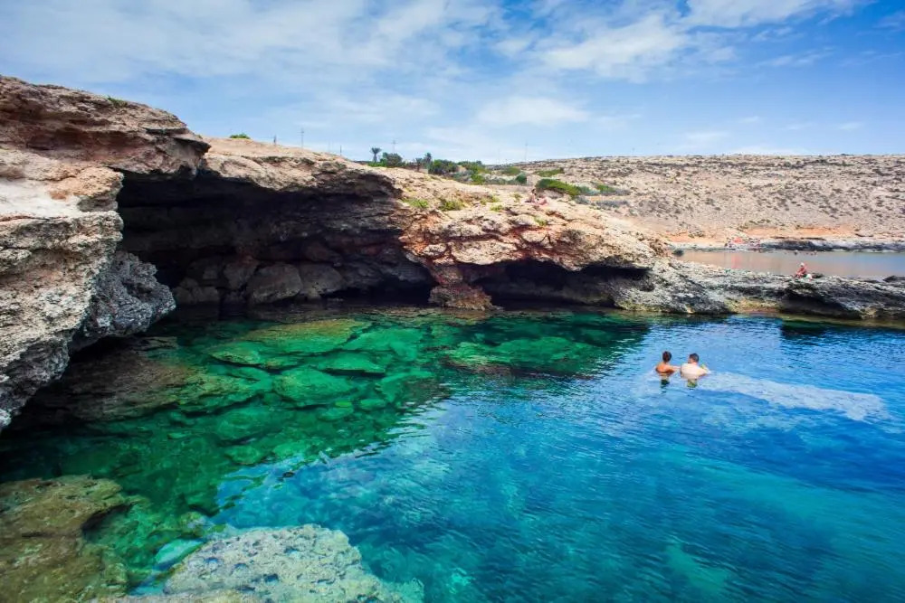 Casa Vacanza Delfino Rosa