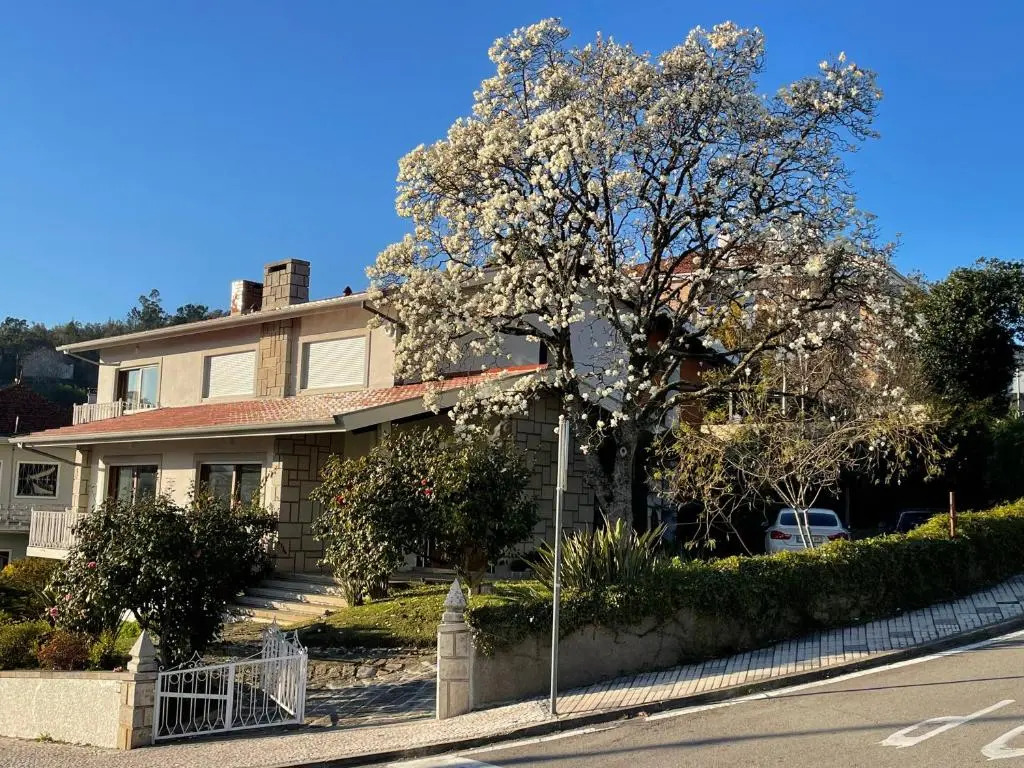 Santiago Family House - Luxury Guest House