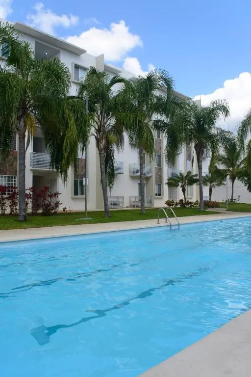 Olivos J8