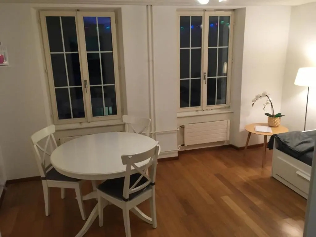 Parking voiture & Appartement 2pcs Lausanne centre
