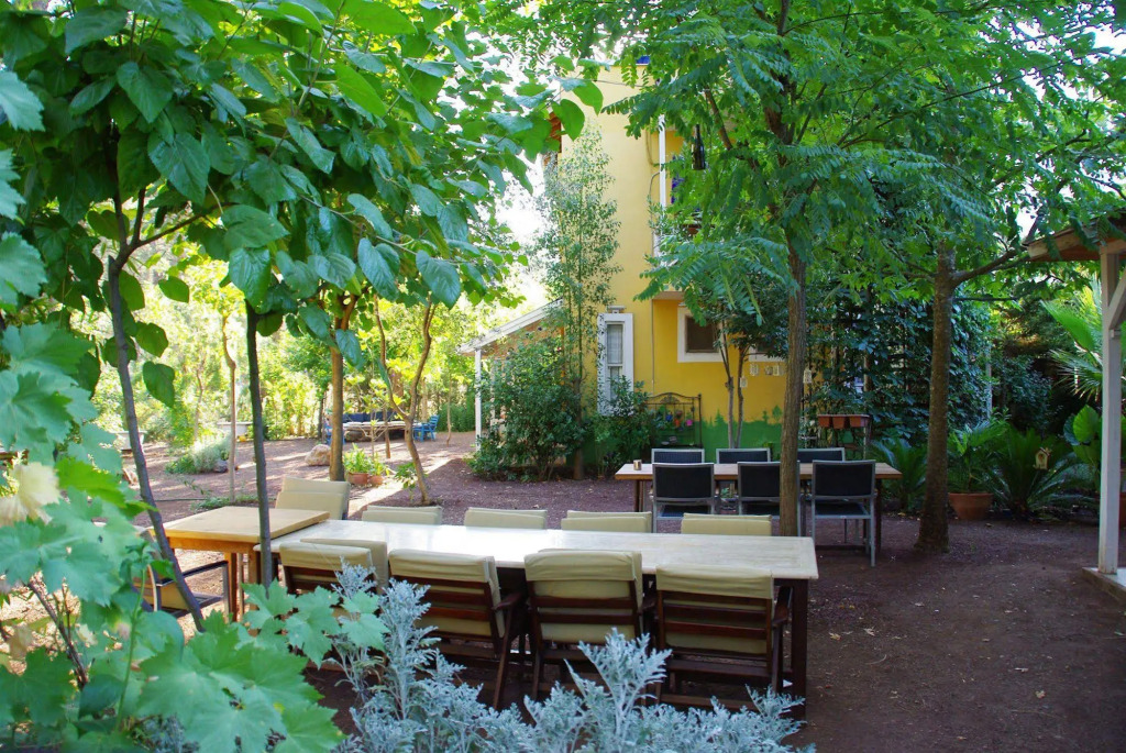 Daphne House