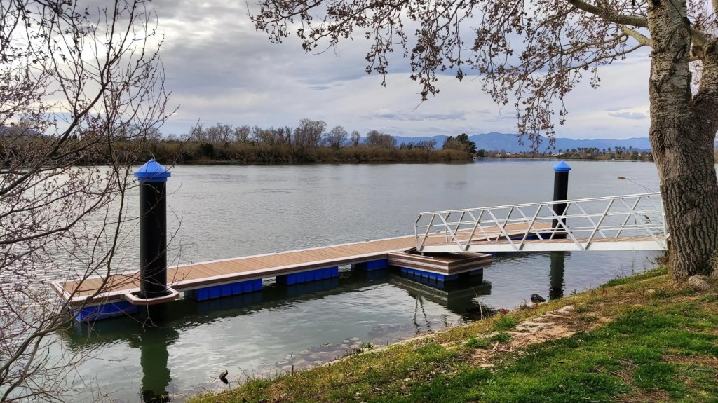 Somnis del Delta