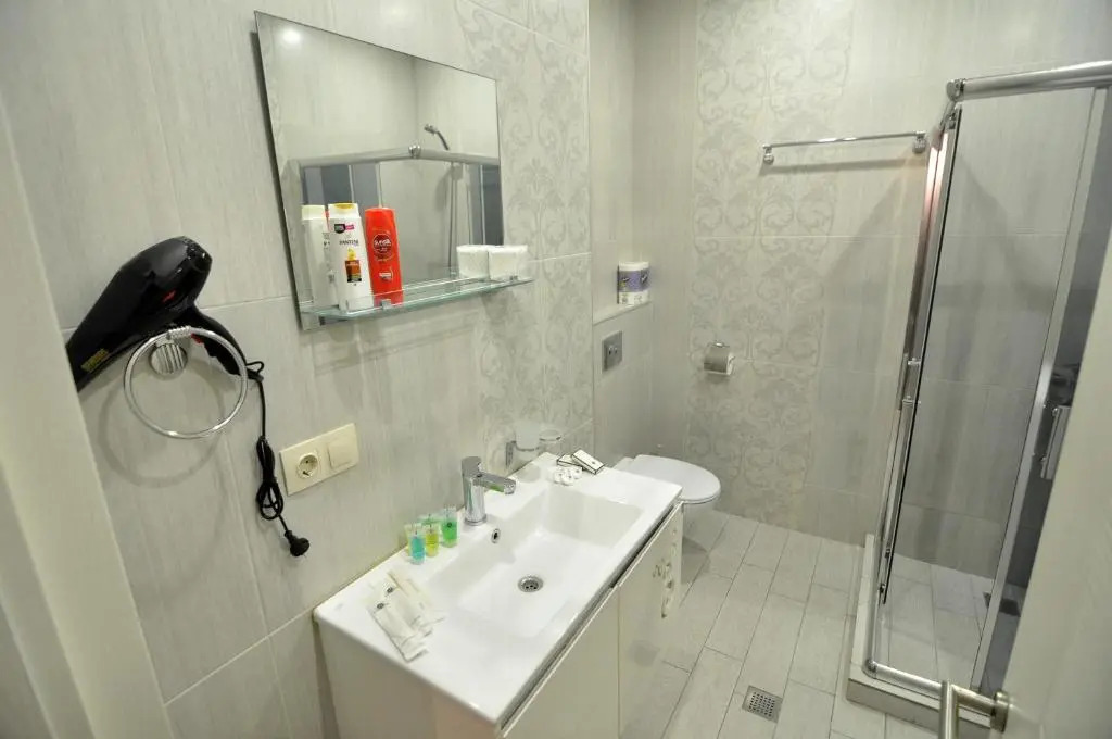 Serviced Apartment on Rustaveli Avenue 3