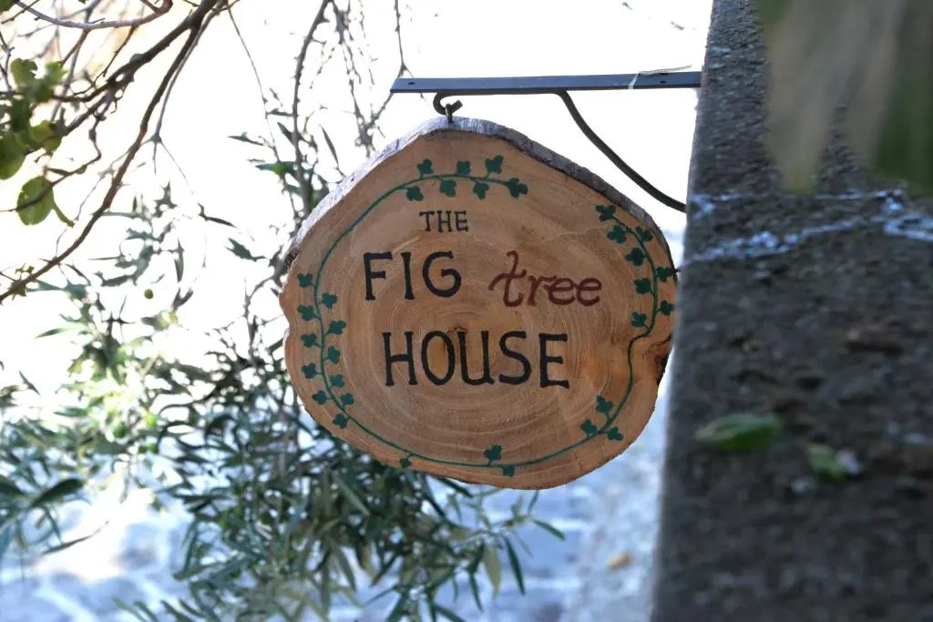The fig tree house