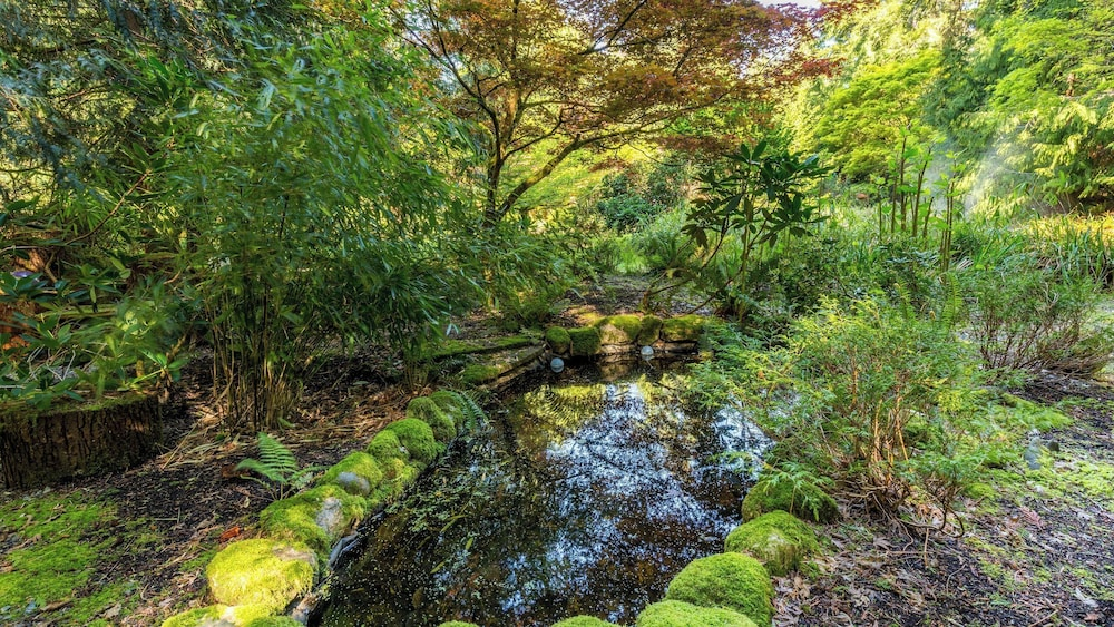 Rhythm Waters by Avantstay Garden Paradise, Pond
