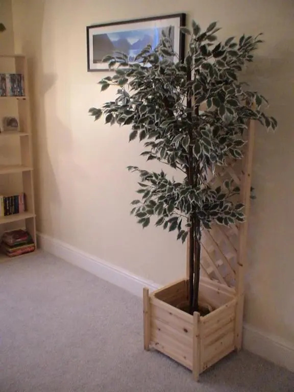 The Shady Corner, Flat 2, 16 Sandy Lane (Adults Only)