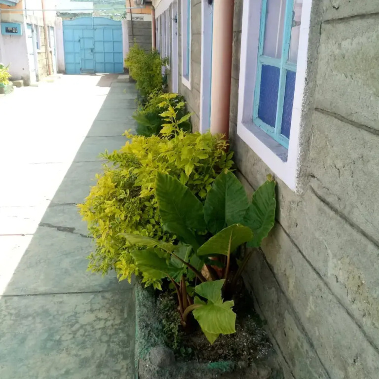 My Choice Guest House - Adults Only