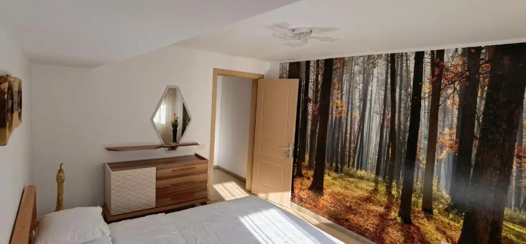 Forest 12