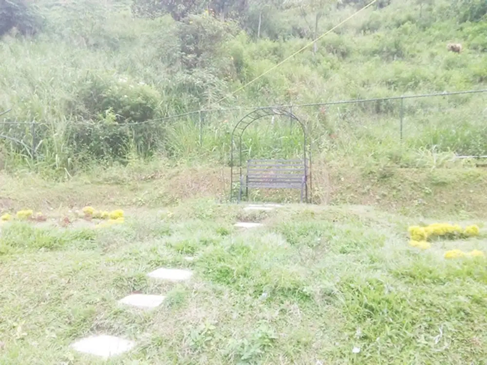 Ella Gate Resort