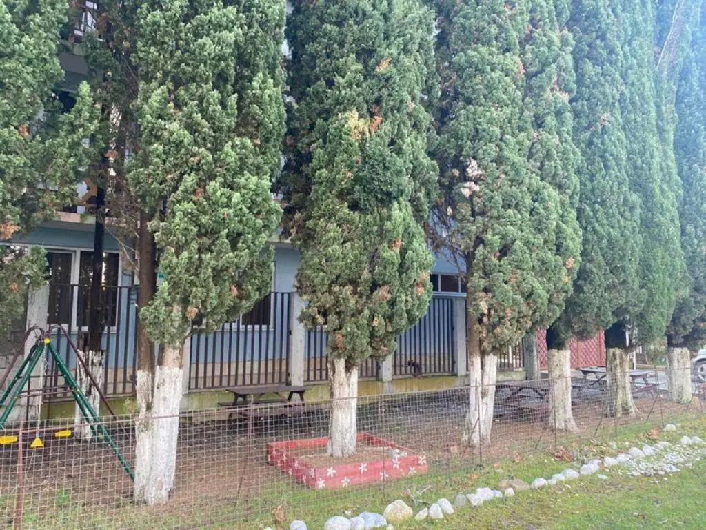 Агучи