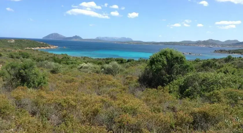 Terrabinu