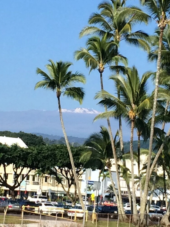 Hilo Bay Oceanfront Bed and Breakfast