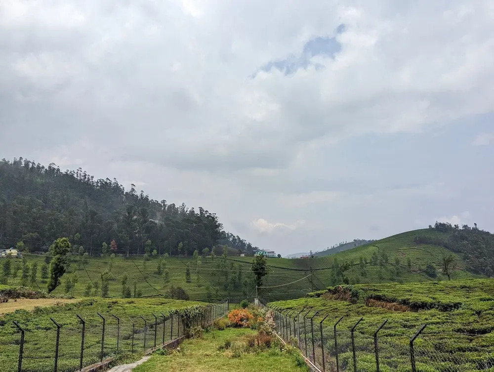 Bagaan