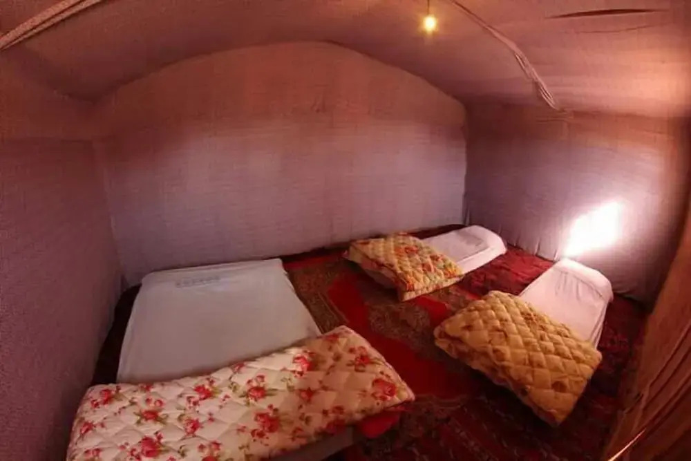 Sahara Peace