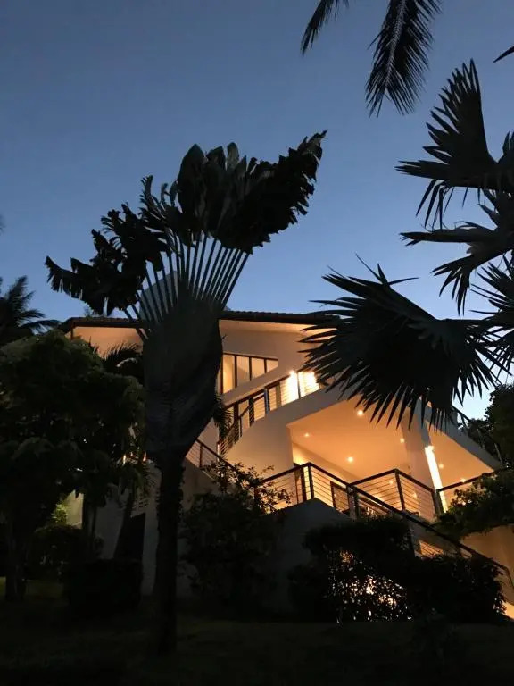 Wild Palms