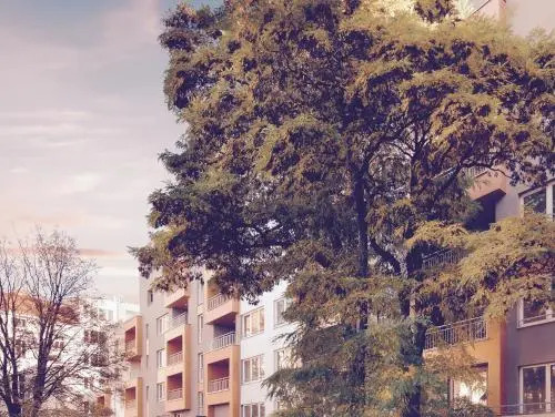 Apartement Blanc de luxe