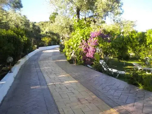 Syrainas studios