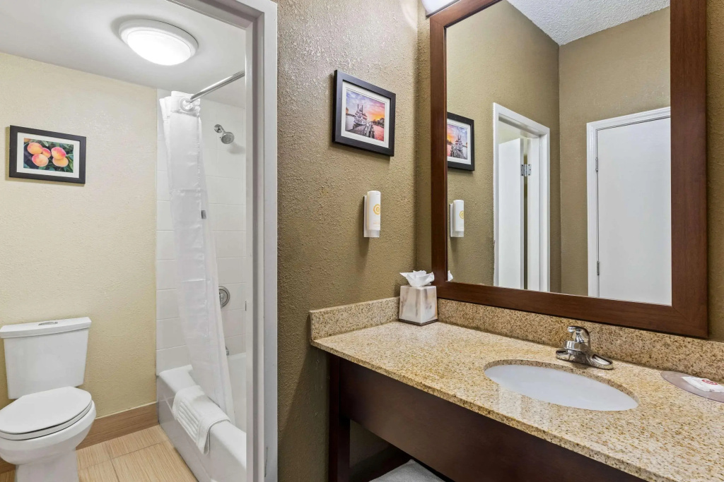 Comfort Inn Roswell-Dunwoody