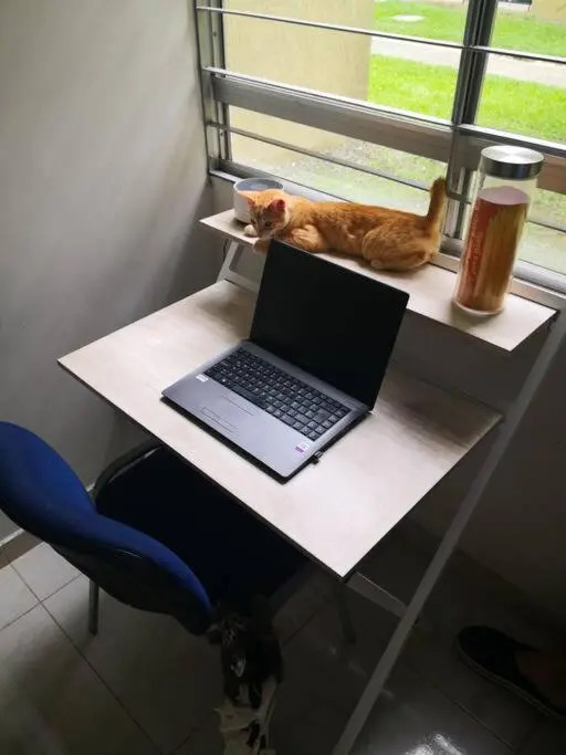 Relájate o teletrabaja en lindo apto, 3 hab y WiFi