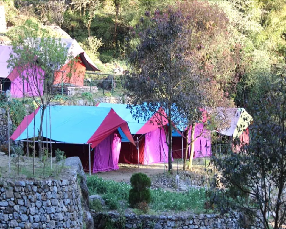 Camp Twilight