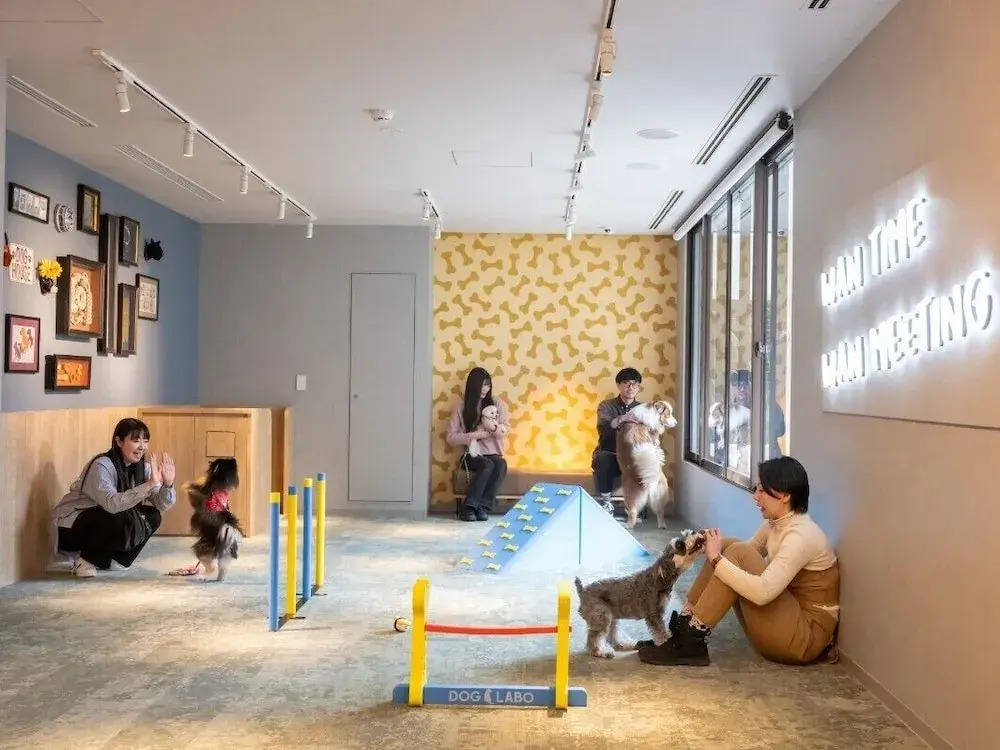 hotel anddoggy Kyoto Nijo