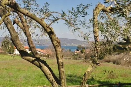 La Tana di Zio Edo