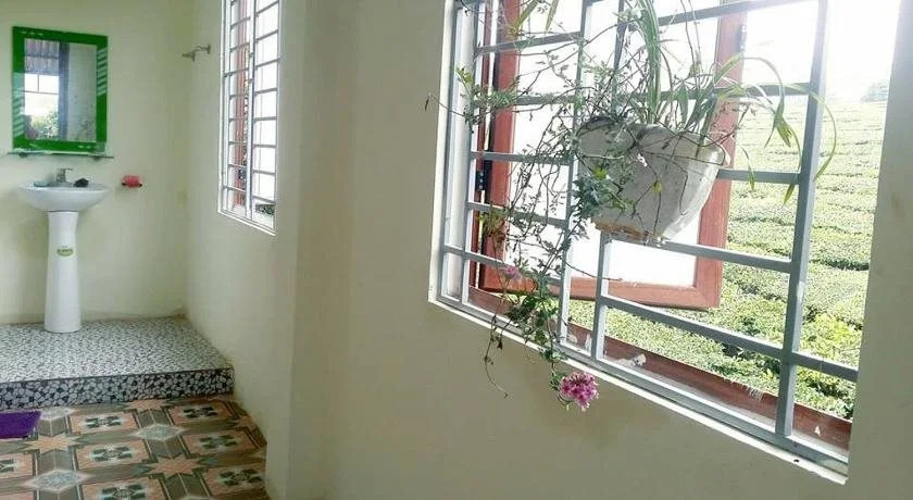 Moc Chau Xanh Guesthouse