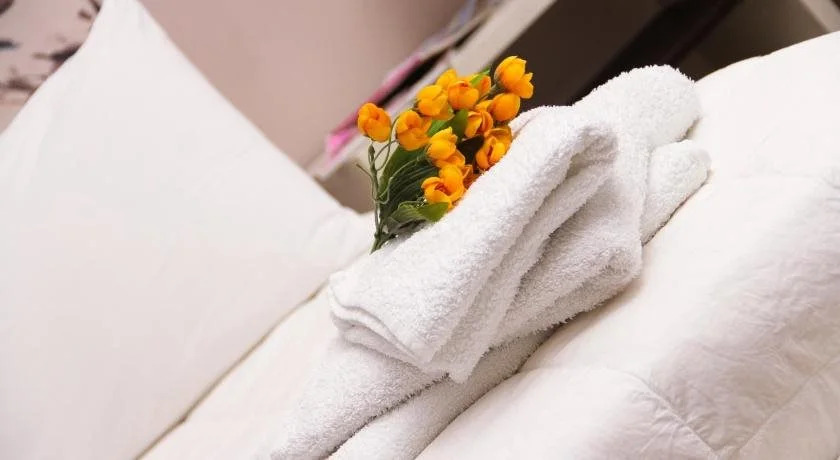 Vivar Hotel