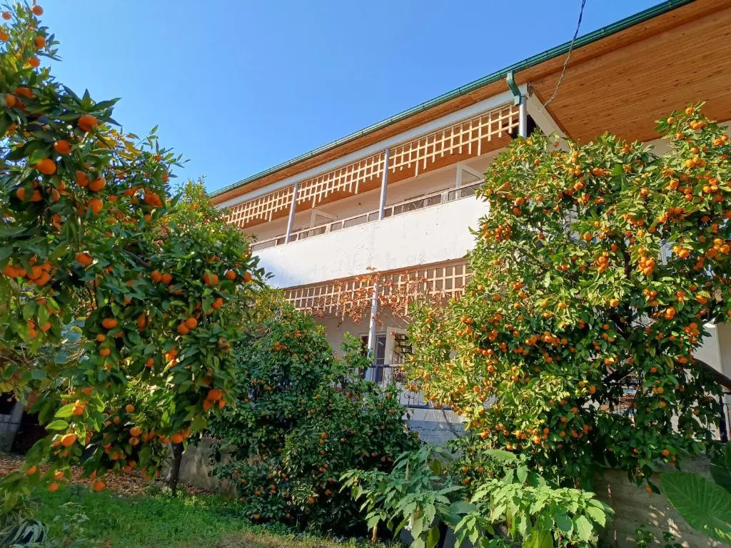 Inzhir Guest house