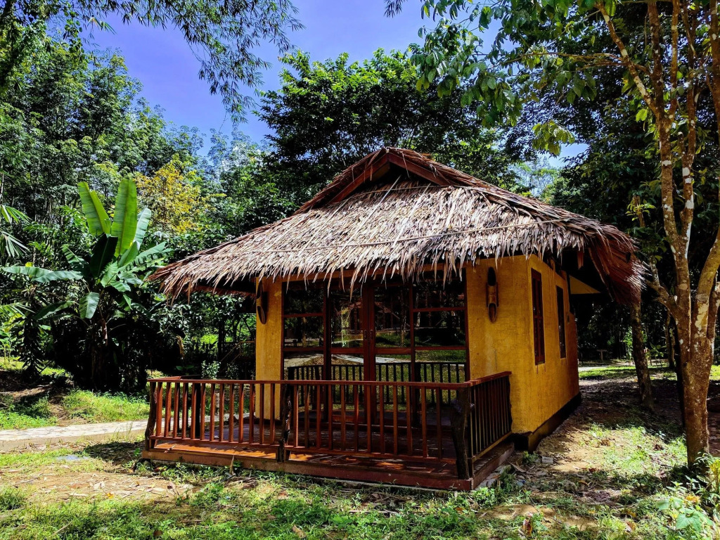 Our Jungle Camp - Eco Resort