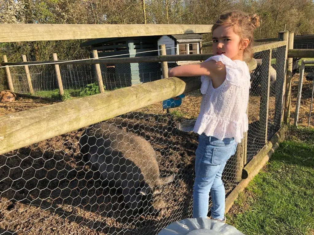 Windsor Studio West-Only 10 mins from Legoland
