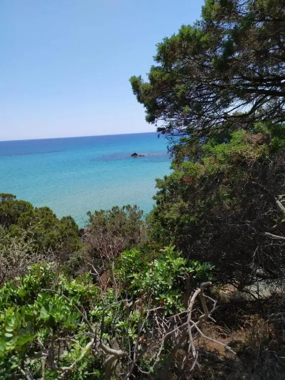 ALBELDI