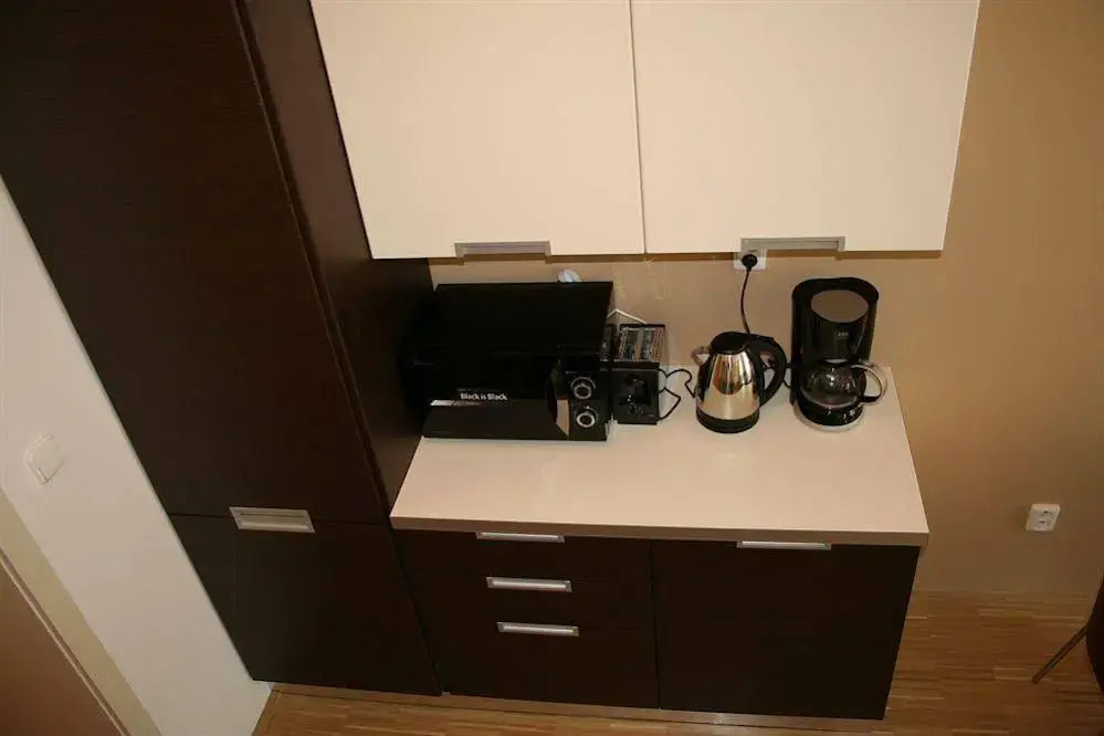 Apartment Balbínova