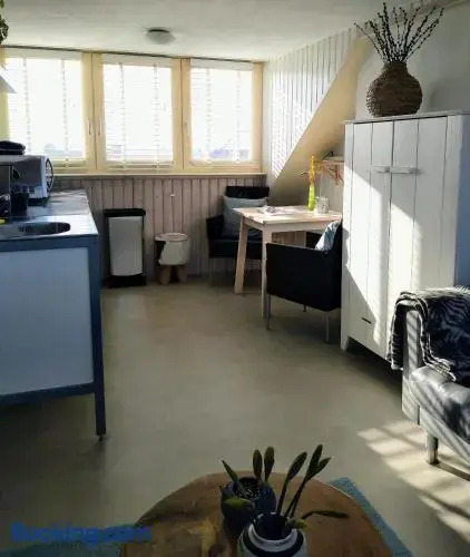Studio Zuid 5