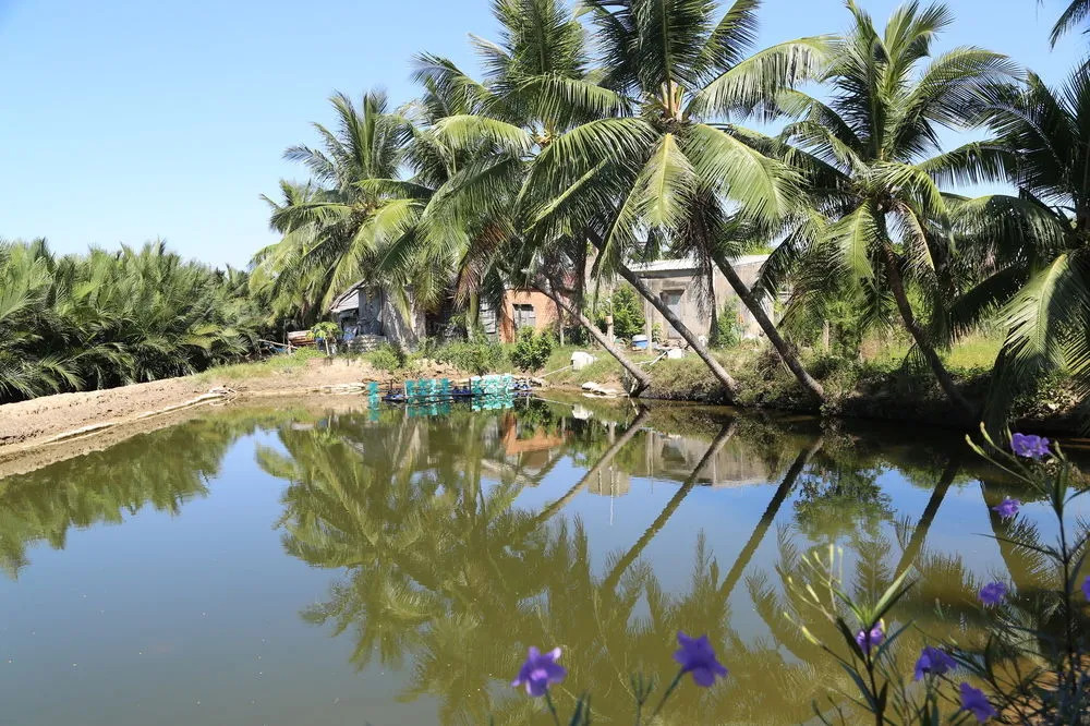 M2Luxe Local Hoian Villa