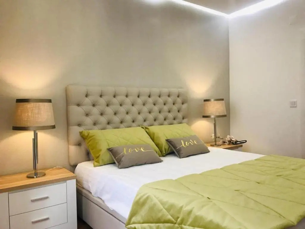 Brand New Downtown Apartment