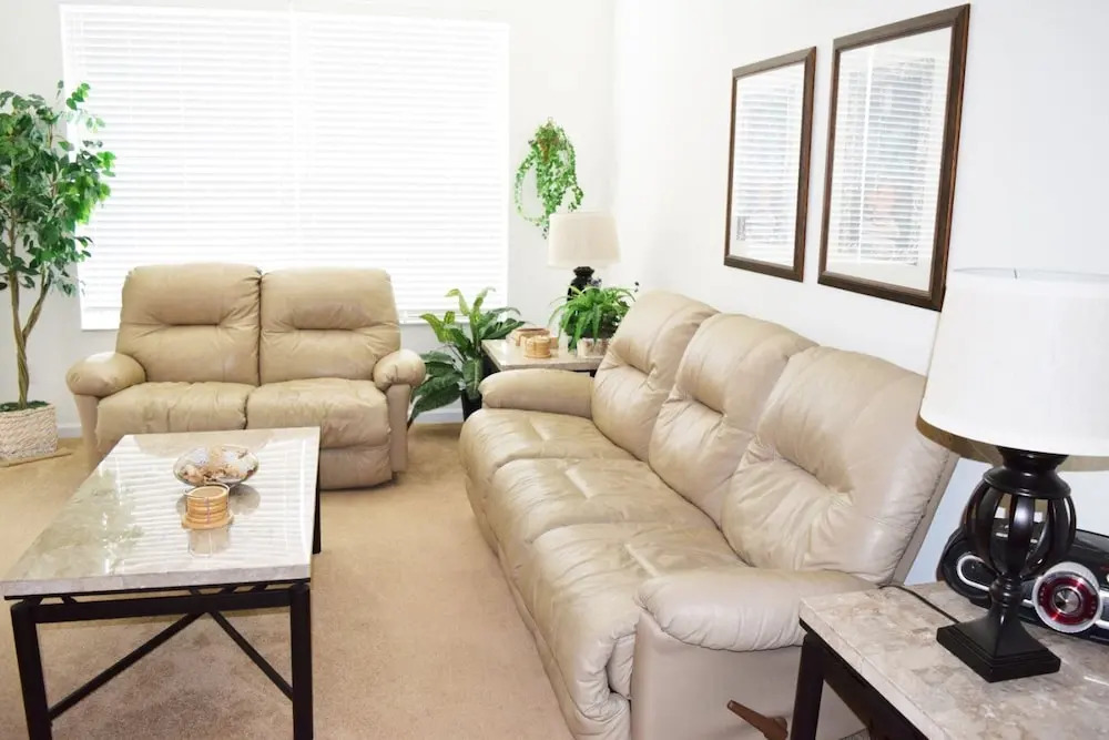 Windsor_palms_304n