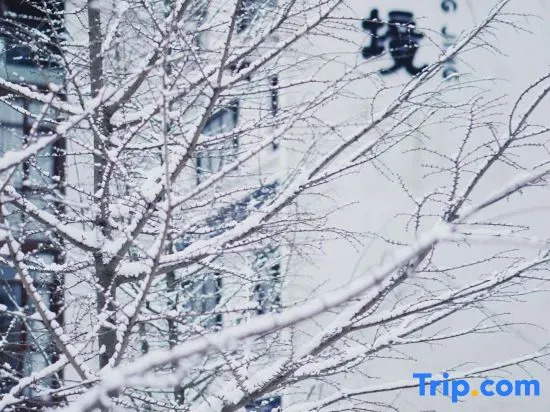 Tianmushan Chengjing Homestay