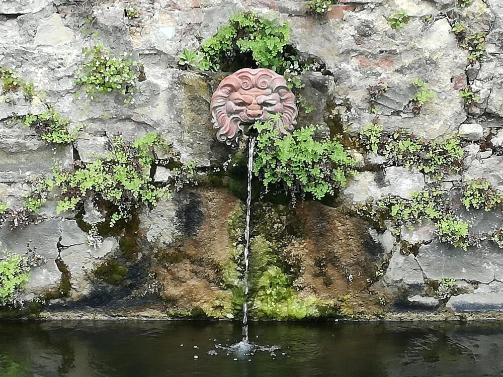 Agriturismo Podere La Cava