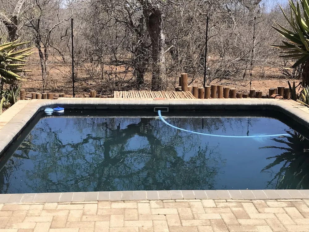 15 Raptors Lodge