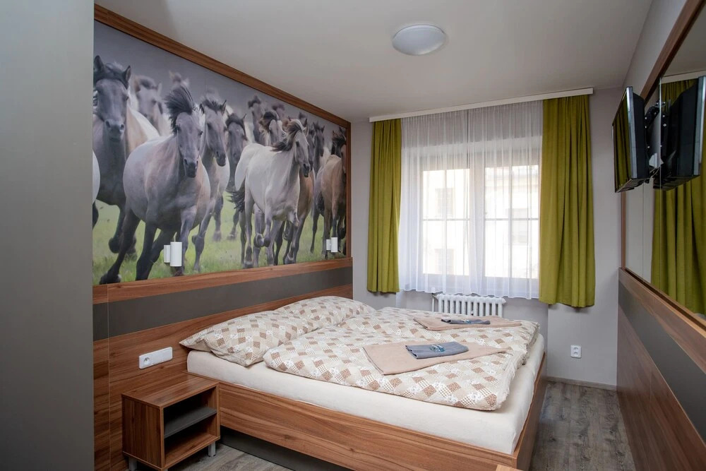 Hotel U koně