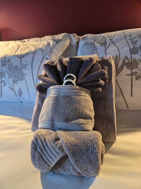 Comfortable and Spacious Double En-suite Room